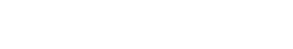 Elica Srl